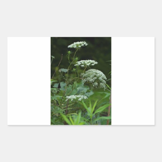 矩形シールテンプレート 長方形シール (正面)