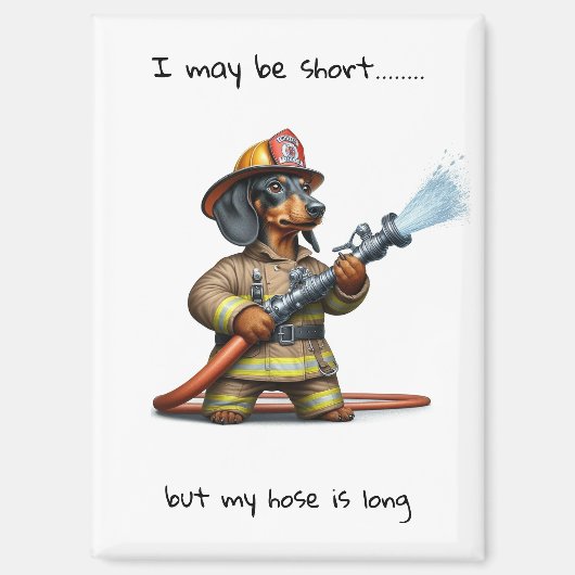 短いダシュント マグネット (正面)