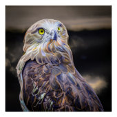 短いトー絵を描ドのデジタル的に強化された油イメージ ポスター (正面)