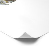 短いハシと黄色い尾を持つ黒いコカトオ ポスター (角)