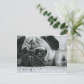 短いピン ポストカード (スタンド正面)