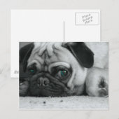 短いピン ポストカード (正面/裏面)