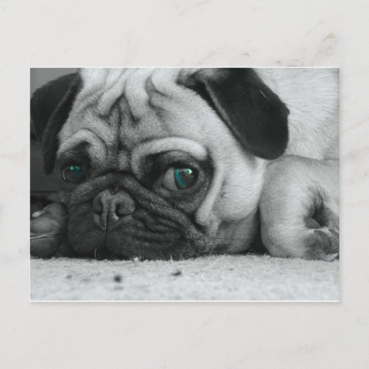 短いピン ポストカード (正面)