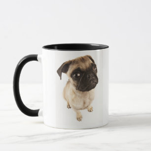 短い口輪をかけられた顔を搭載する犬の小さい品種 マグカップ