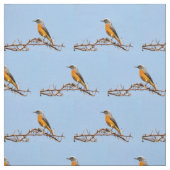 短い岩肌 ファブリック (見本)