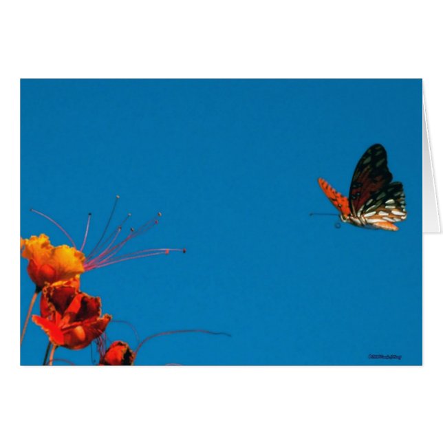 短い最終2nov06 3 (正面横)