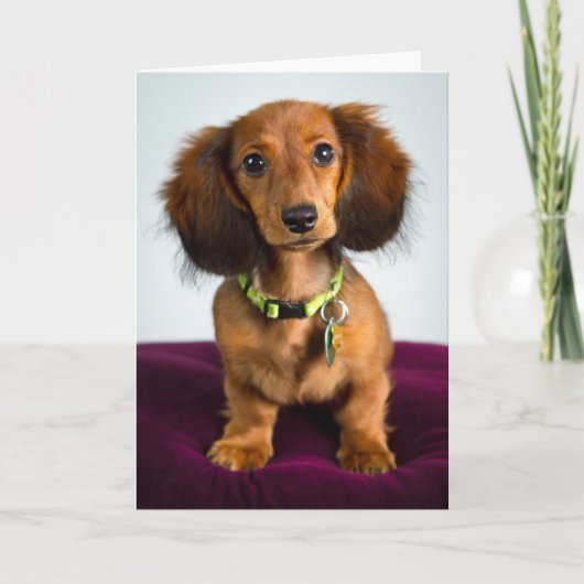 短い物 カード (正面)