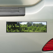 短い生命余りにに住むため…. バンパーステッカー (車上)