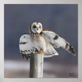 短い耳のフクロウ2 ポスター