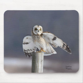 短い耳のフクロウ2 マウスパッド