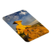 短い草の中に彫られた花壇の形成 マグネット (右側)