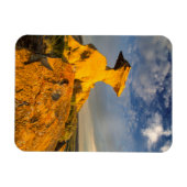 短い草の中に彫られた花壇の形成 マグネット (横)