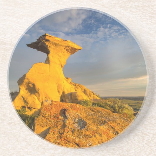 短い草の中の彫刻された悪地層 コースター (正面)