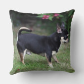 短い髪のチワワの地位 クッション (裏面)