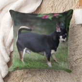 短い髪のチワワの地位 クッション (ブランケット)