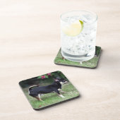 短い髪のチワワの地位 コースター (右側)