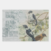 短気な鳥シリーズデザイン2 ラッピングペーパーシート (正面)