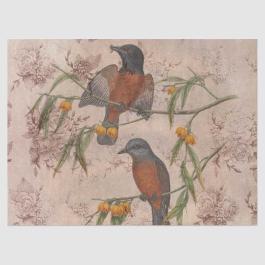 短気な鳥シリーズデザイン3 薄葉紙 (正面)