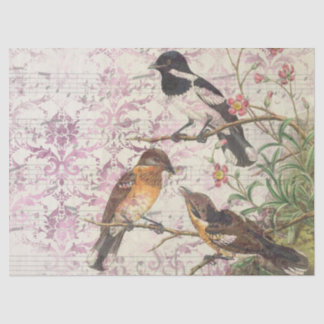 短気の鳥シリーズデザイン17 薄葉紙