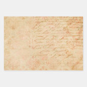 短編草本と短編映画 ラッピングペーパーシート (正面2)