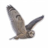 短耳フクロウカスタムのカットのビニール シール (正面)