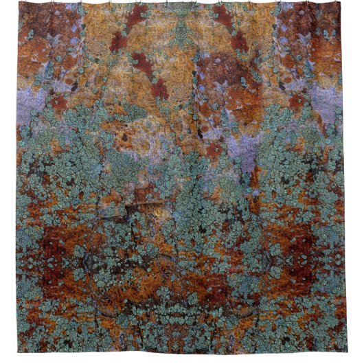 石および石の質の素朴な地衣のコケ シャワーカーテン (正面)