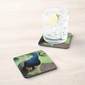 石でとまる孔雀 コースター (右側)