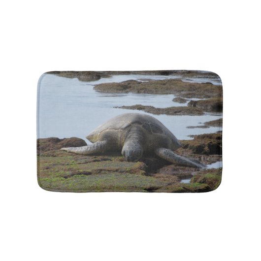 石で休んでいるカメ バスマット (正面)