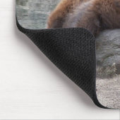 石で休んでいる灰色グマ マウスパッド (コーナー)