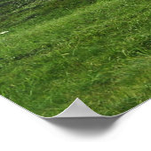 石と月の古代遺跡 ポスター (角)