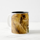 石にあっているライオン ツートーンマグカップ (正面左)