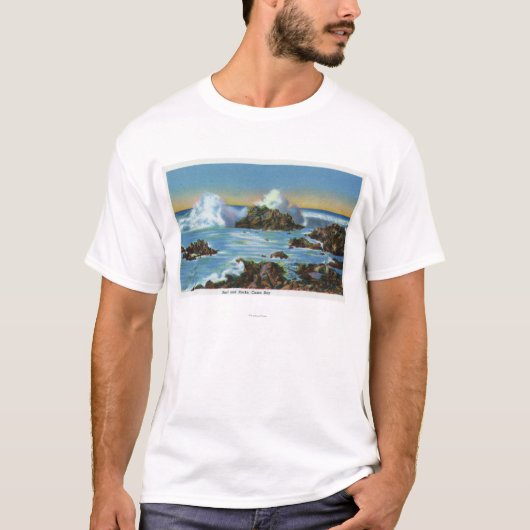 石に沿う波の眺め Tシャツ (正面)