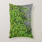 石に苔を生む(エントドンの誘惑的な作品) アクセントクッション (正面(垂直))