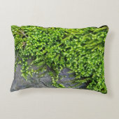 石に苔を生む(エントドンの誘惑的な作品) アクセントクッション (裏面)