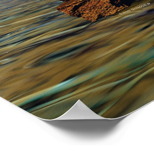 石に設定 ポスター (角)