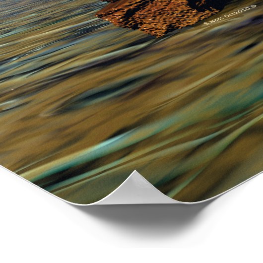 石に設定 ポスター (角)