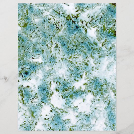 石のアクアテクスチャ (正面)