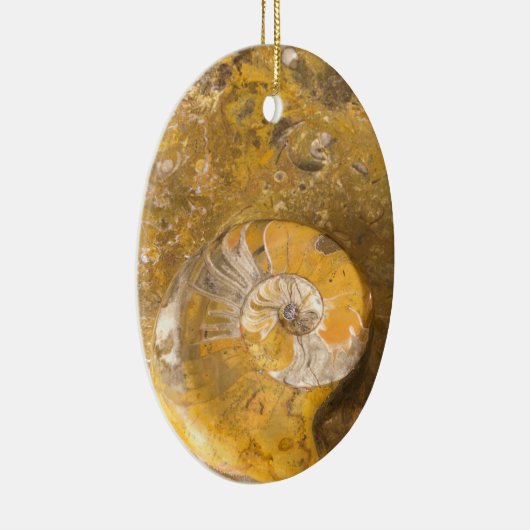 石のクローズアップの写真の化石から成っている切り分けられたボール セラミックオーナメント (右)