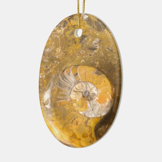 石のクローズアップの写真の化石から成っている切り分けられたボール セラミックオーナメント (左)