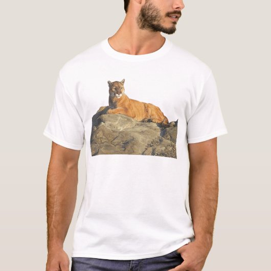 石のクーガー Tシャツ (正面)
