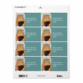 石のクールマッサージラベル ラベル (フルシート)