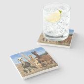 石のコースター – アルパカスパエトン、大麦、マービン ストーンコースター (横)