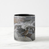 石のシギ(Calidrisのptilocnemis) マグカップ (中央)