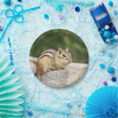 石のシマリス ペーパープレート (パーティー)