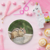 石のシマリス ペーパープレート (パーティー)