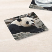 石のジャイアントパンダ スクエアペーパーコースター (アングル)