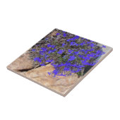 石のタイルの中の紫色の花 タイル (側面)