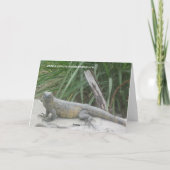 石のハッピーバースデーカードのトカゲ カード (裏面)