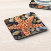 石のヒトデ コースター (左側)