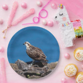 石のミサゴ ペーパープレート (パーティー)